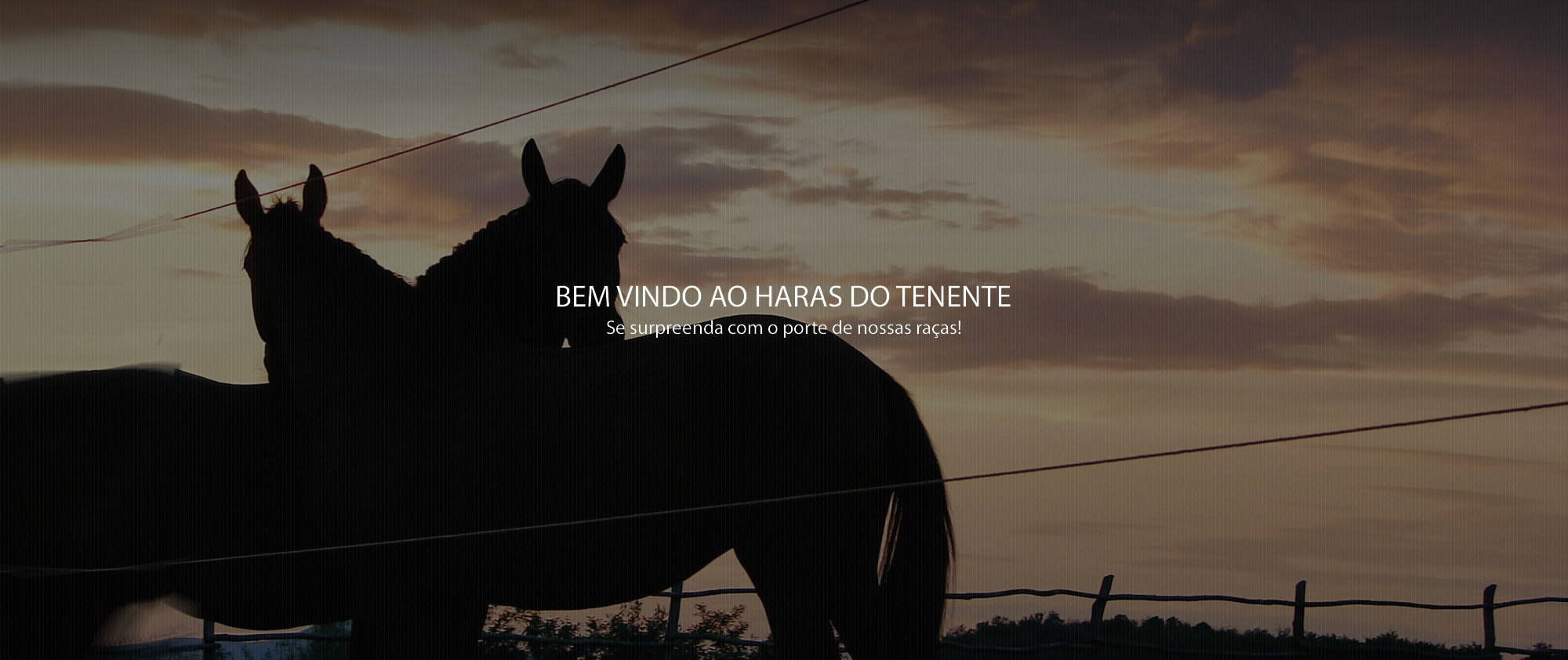 Banner2