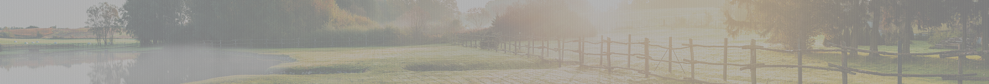 Banner interno